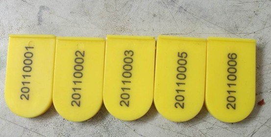 经济型光纤激光切割机500W到1500W经济实惠(图1)